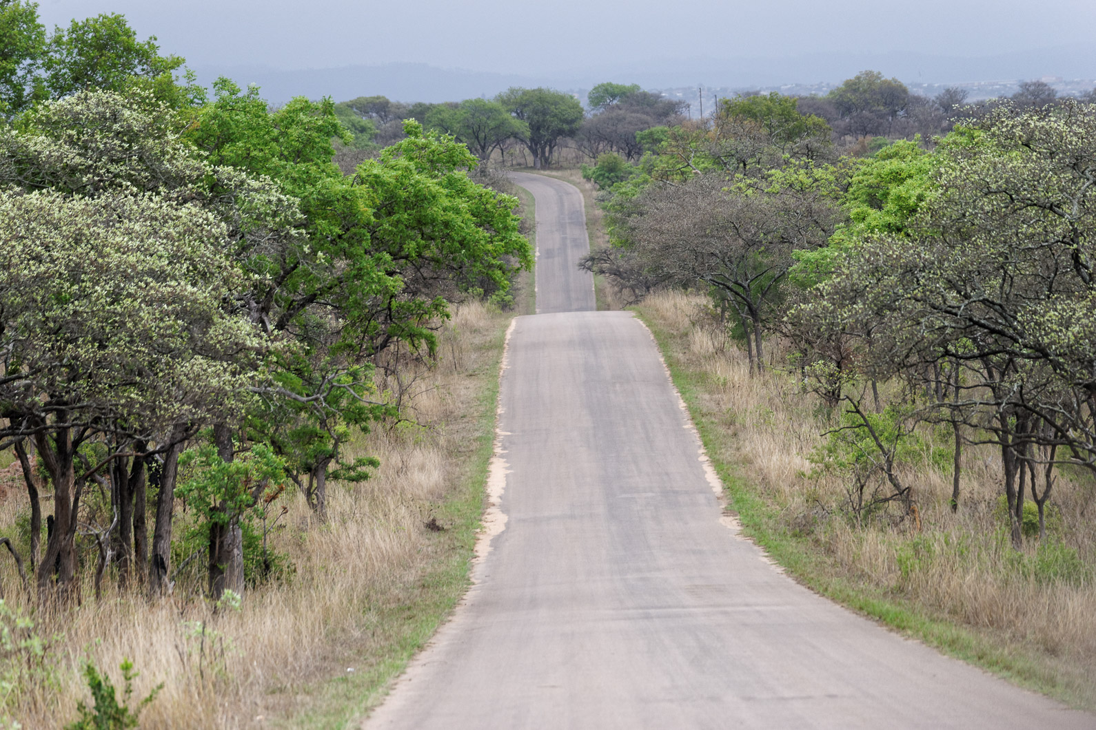20161113 163502 Krüger Nationalpark